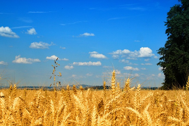 OBŽ objavila Javne pozive za potpore u poljoprivredi  i ruralnom razvoju 