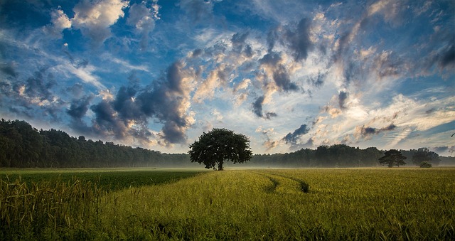 Početak podnošenja Jedinstvenih zahtjeva u AGRONET-u